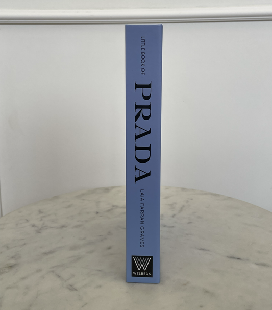 Book Cover Prada Little Baby Blue